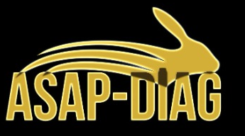 Logo - ASAP-DIAG