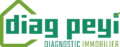 Logo - DIAG PEYI