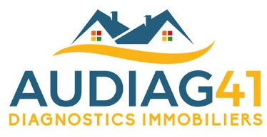 Logo - AUDIAG41